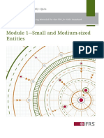 SMEs - Module 01 Small and Medium Sized Entities
