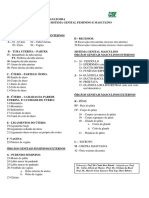 Roteiro de Aula Prática - Sistema Genital Feminino e Masculino - SEM GABARITO 21