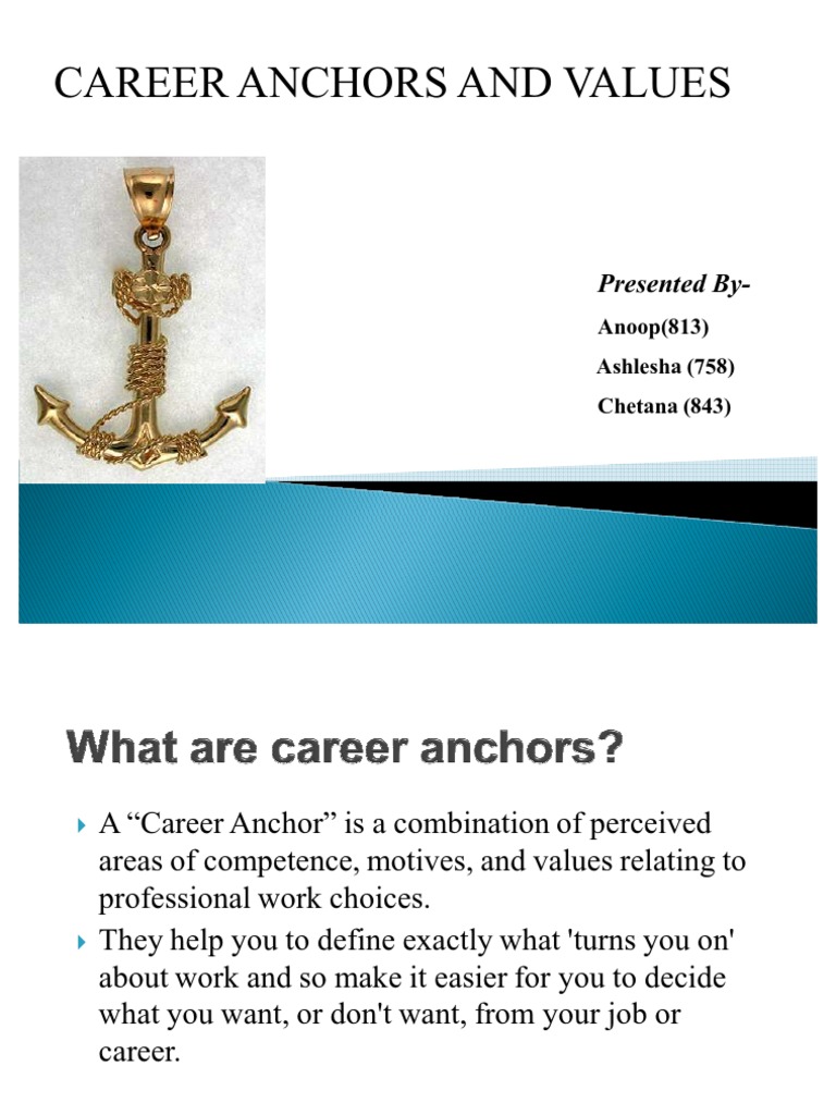 Career Anchors and Values Final Anu PDF Pension Employment