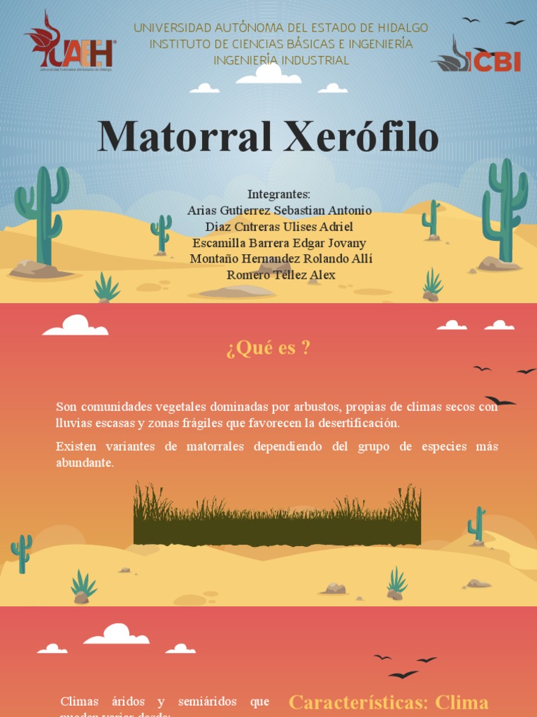 Matorral Xerófilo PDF Precipitación Clima