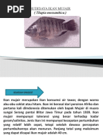 Download IKAN MUJAIR by Sutia Budi SN55872008 doc pdf