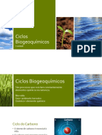 Ciclos biogeoquímicos