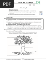 3basico - Guia Trabajo Ciencias - Semana 38