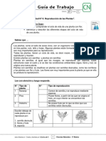 3basico - Guia Trabajo Ciencias - Semana 27