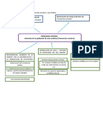 Árbol de Problemas Oso de Anteojos