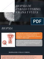 Biopsia 1