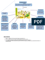 Mapa Interrelaciones