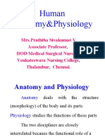 Human Anatomy & Physiology