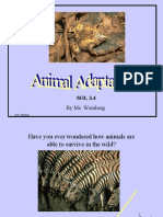animal_adaptations
