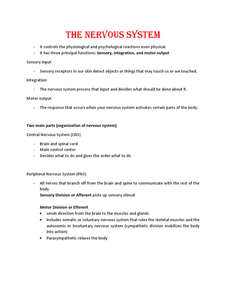 Overview of the Nervous System Functions | PDF | Nervous System ...