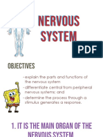 CNS and PNS functions