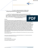 EFSA Journal - 2020 - Safety Evaluation of The Food Enzyme Amylase From The Genetically Modified Pseudomonas - En.id