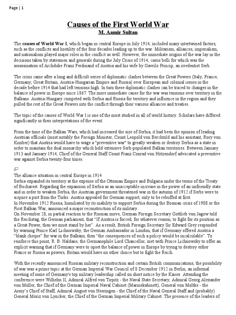 Causes of World War I Explained | PDF | International Relations | Military