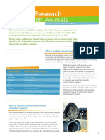 Medical Research On Animals