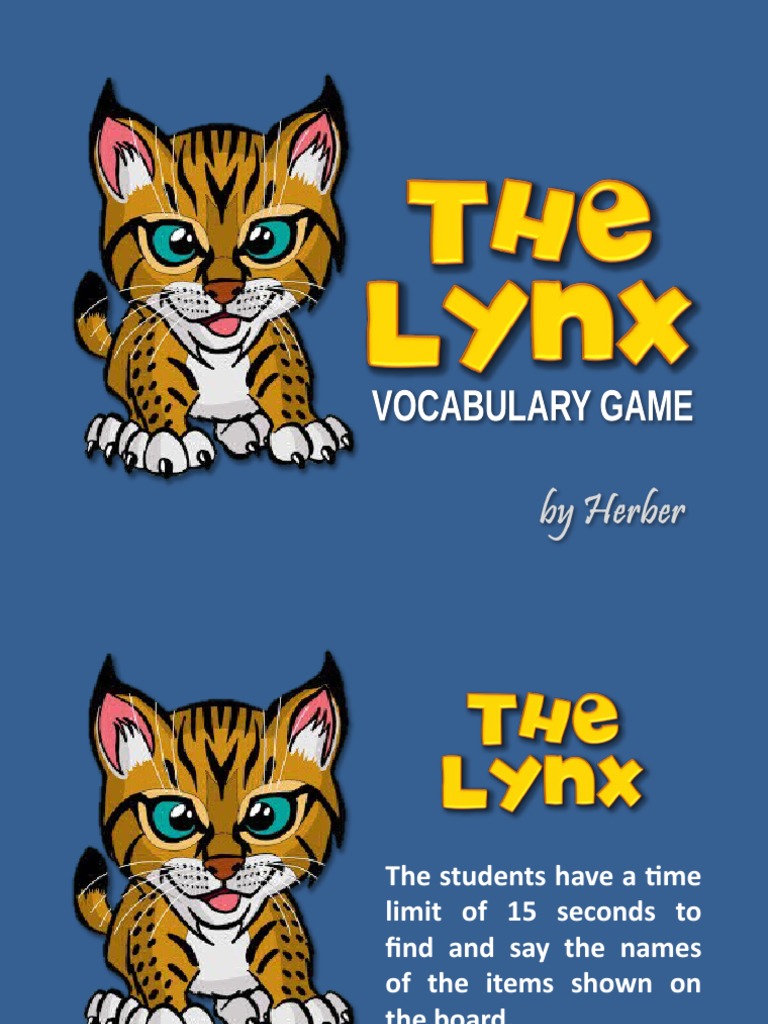 The Lynx Fun Activities Games Games - 57504 | PDF