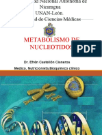 Metabolismo de Nucleotidos Maestria