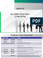 Nervus (1)