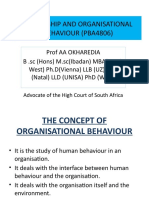 Leadership and Organisational Behaviour (Pba4806)