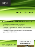 The Material Self