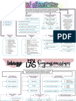 Mapa Conceptual