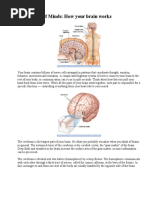 How Your Brain Works