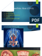 Glomerulonefritis Akut (GNA)