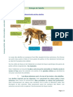 Biologie de L'abeille