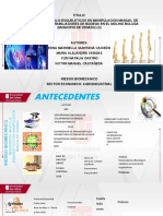 Primer Informe de Avance-Proyecto de Investigacion