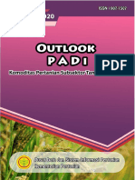 OUTLOOKPADI2020