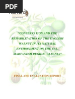 Download Walnut in Midle Albania by Haki Kola SN55885708 doc pdf