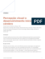 Percepcao Visual e Desenvolvimento Inicial Do Cerebro