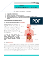 U3 - Nutricion I-Sistema Digestivo y Digestion-Def V 2.0