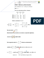 1 Matrices y Determinantes