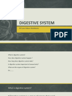 Digestive System: BY:Lano Daban Abdulkarim