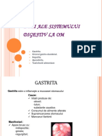 Biologie -Boli Ale Sistemului Digestiv La Om