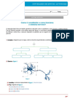 Ficha de Trabalho - Estudo - Autonomo - Sistema - Nervoso