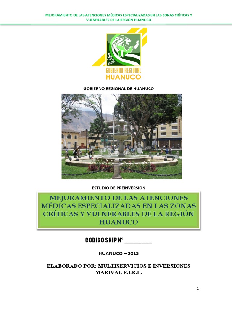 Pip Huanuco Hospital Movil Final PDF Hospital Calidad (comercial)
