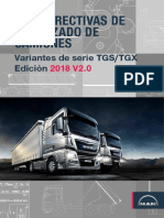 Tgs TGX E2018 v2.0 Es