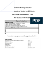 Diabetes in Pregnancy Care Guide