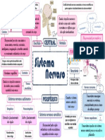 Sistema nervoso: estrutura e funções principais