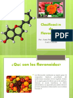 481697532-Clasificacion-de-Flavonoides-final-pptx