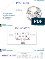 04 Proteine