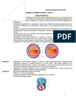 Desarrollo Embrionario y Fetal