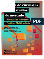 Diseño de Encuestas para Estudios de Mercado by Julian Santos Peña