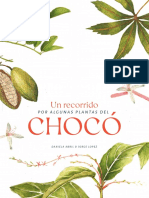 Libro Chocó Autor Jorge Lopez y Daniela Abril