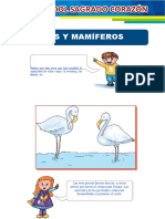 Aves y Mamíferos para Tercer Grado de Primaria