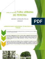 Silvicultura Urbana de Pereira