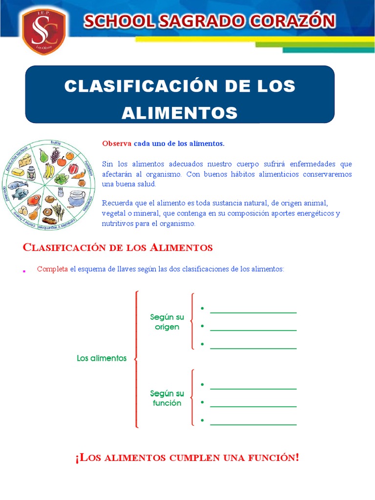 Clasificación de Alimentos para Tercer Grado | PDF | Cocina, comidas y ...