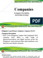 20 Companies: (Company Description, Marketing Strategy)