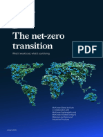 The Net Zero Transition Report January 2022 Final